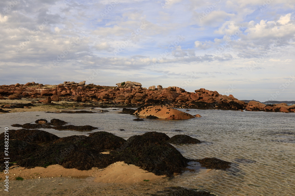 Renote Island is an island belonging to the French commune of Trégastel, in the department of Côtes-d'Armor, Brittany.