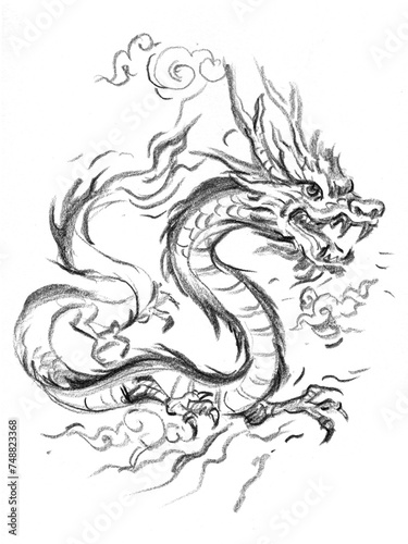 dragon tattoo style pencil drawing for card decoration illustration