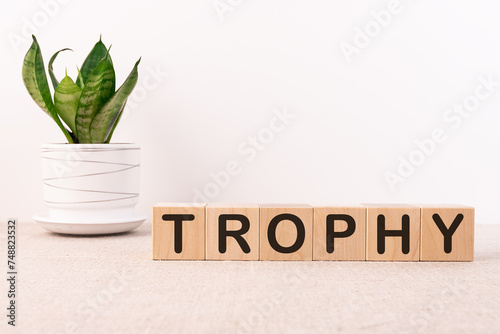 TROPHY word concept written on wooden blocks lying on a light table with a flower in a flowerpot on a light background