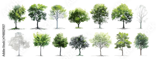 Trees, shrubs, plants, grass, and roots.
