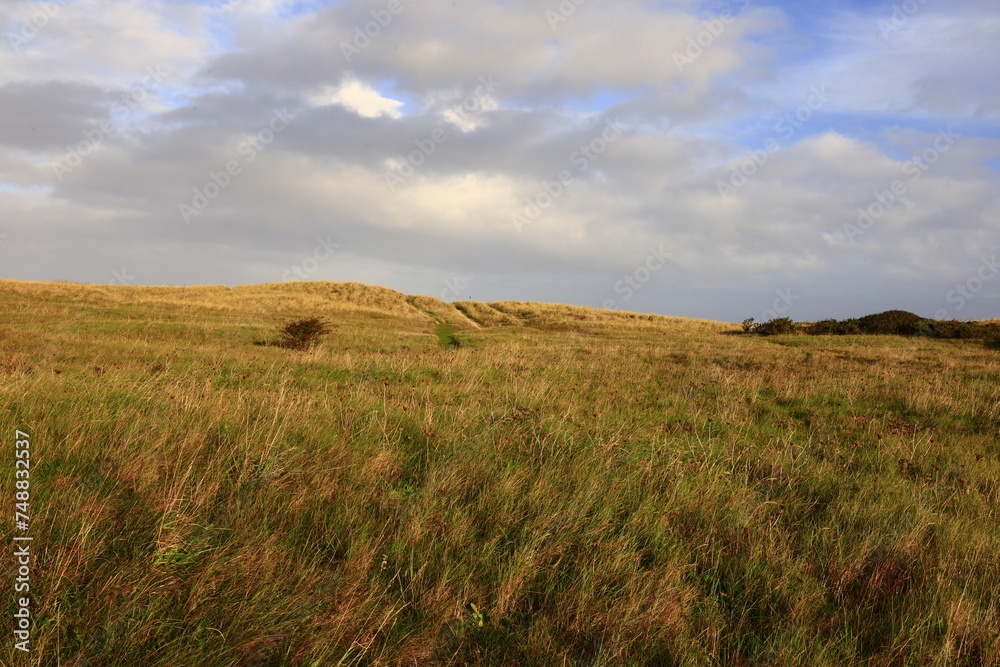 View on the north coast of Brittany, in the department of Finistère.