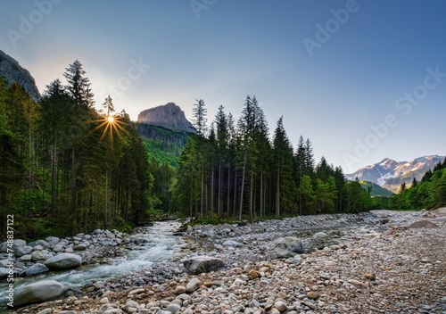 Fototapeta Naklejka Na Ścianę i Meble -  Mountain valley with a stream, forest and peaks in the background. Hiking and exploring the mountains in spring High Tatras, Belianske Tatry, Muran