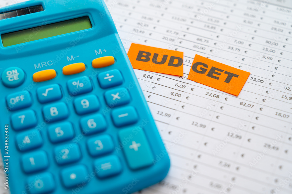 Table with budget, expenses, revenues and ticket with Budegt text cut in two. Budget cut.
Table with budget, expenses, revenues and ticket with Budegt text cut in two. Budget cut.