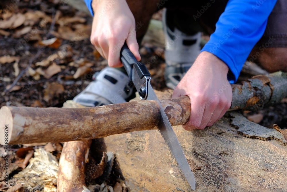 The process of using compound saws in the forest The process of using compound saws in the forest