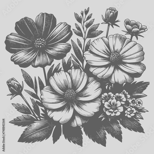 Fototapeta Naklejka Na Ścianę i Meble -  Flowers Vintage Drawing Style
