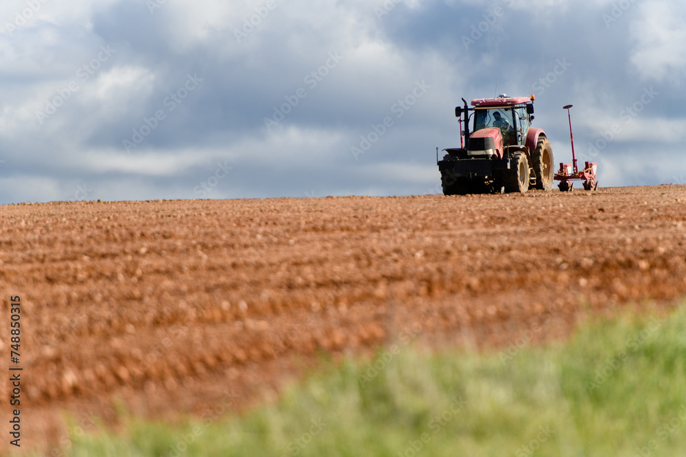 Fototapeta premium TRACTOR LABRANDO UN HUERTO