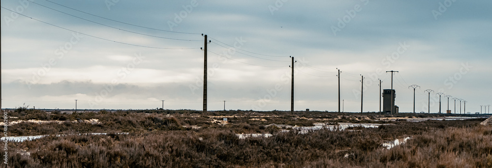 Paysage industriel (pylône) au cœur de la Camargue dans une exploitation de marais salants