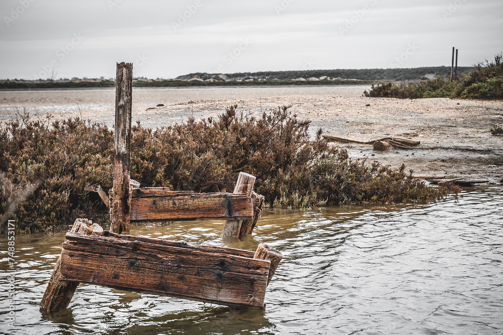 Infrastructure en bois immergé dans l'eau au cœur des marais salants de Camargue