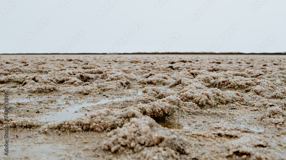 Sel récoltable dans une exploitation au cœur de la Camargue à Salin de Giraud