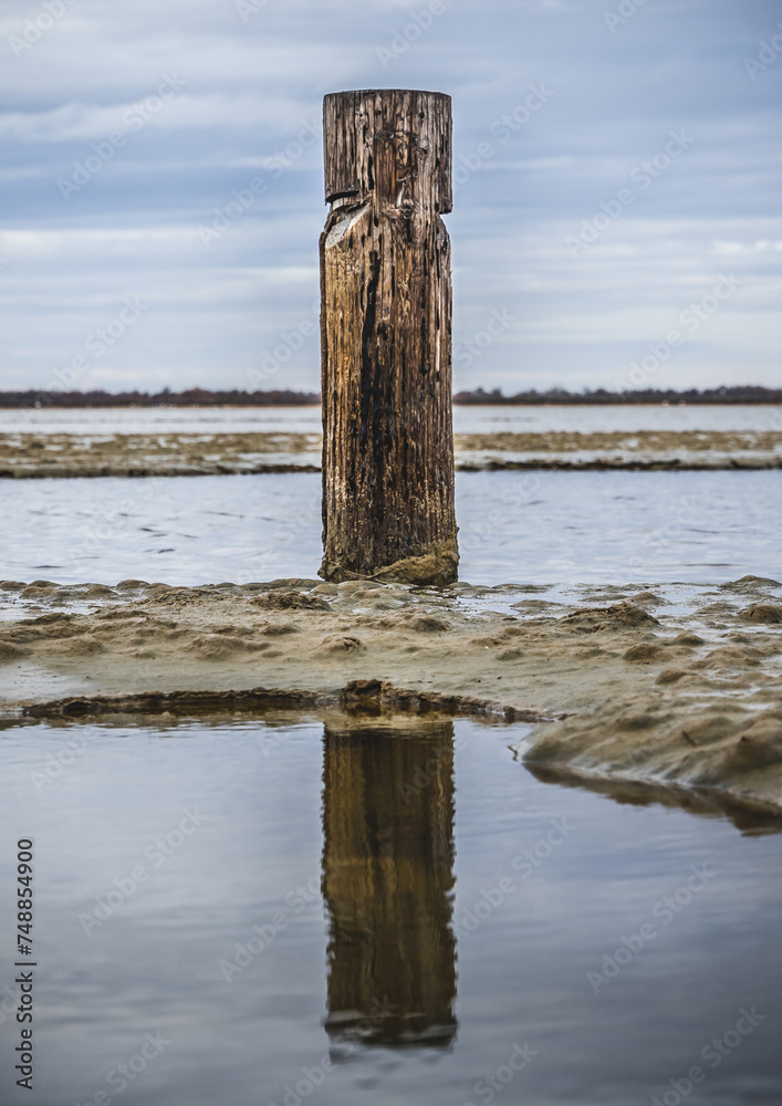 Poteau en bois avec reflet dans l'eau dans les marais salants de Camargue