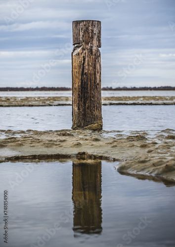 Obraz na płótnie Poteau en bois avec reflet dans l'eau dans les marais salants de Camargue w salonie