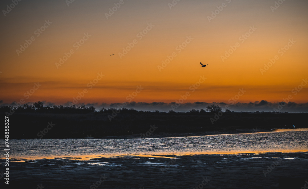 Lever du soleil avec reflets dans l'eau de mer et oiseau survolant une plage de Camargue