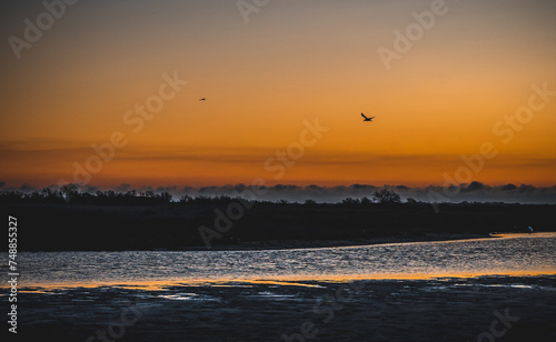 Obraz na płótnie Lever du soleil avec reflets dans l'eau de mer et oiseau survolant une plage de Camargue w salonie