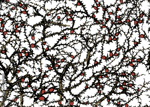 Branches of Blackthorn. Vector drawing
