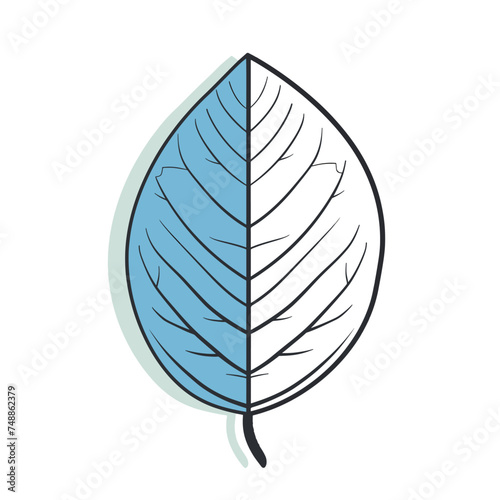 Icon of round leaf over white background half line hal