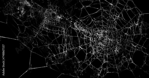Spider s web realistic use black background