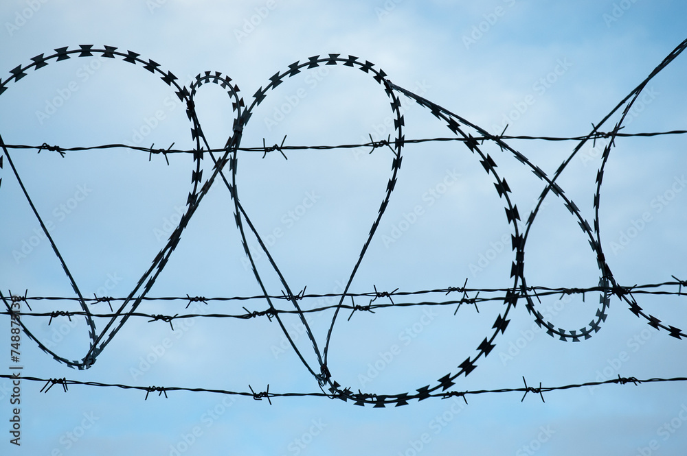 barbed wire Fidget-Alligator against a blue sky