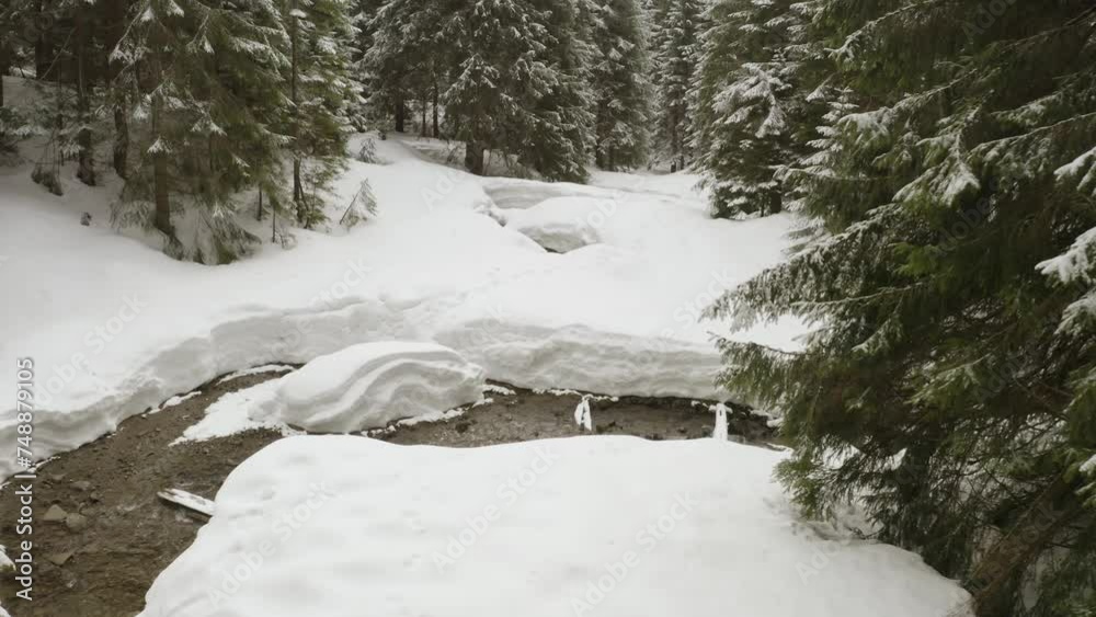 clear mountain river from the peaks of the Carpathians, on the banks there are wild beech and spruce forests, the ground is covered with snow, spring is coming, the drone flies like a bird
clear mountain river from the peaks of the Carpathians, on the banks there are wild beech and spruce forests, the ground is covered with snow, spring is coming, the drone flies like a bird