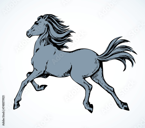 Galloping horse. Vector drawing icon