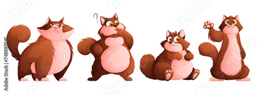 A set of four cute plump brown cats. Funny well-fed cat posing.