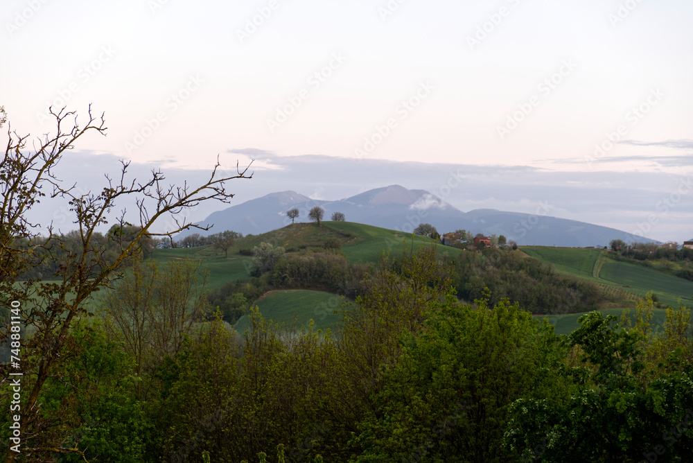 typical hilly landscape of Urbino, in central Italy