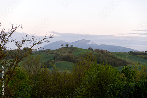 typical hilly landscape of Urbino  in central Italy
