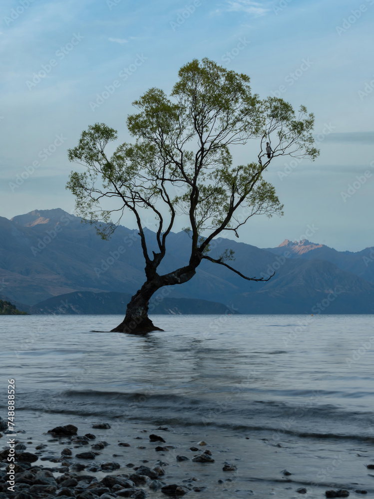 A long exposure photography of lonely tree standing in Lake Wanaka, one of the iconic tourism landmark called 