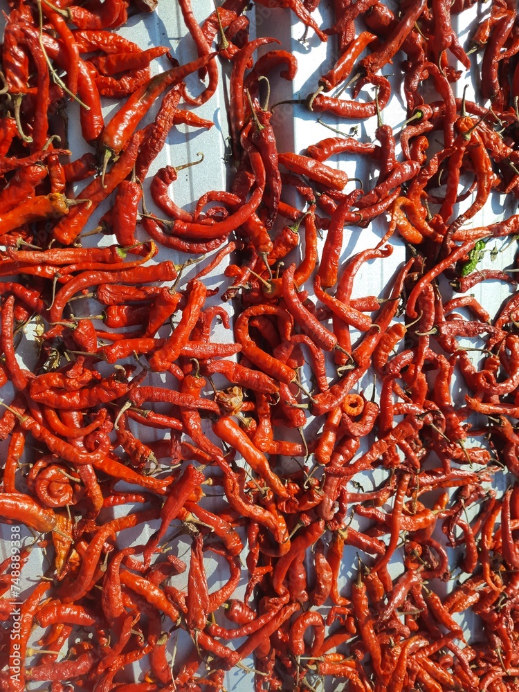 Fototapeta premium Red hot chili is being held for sun-drying. This is an aerial close-up shot