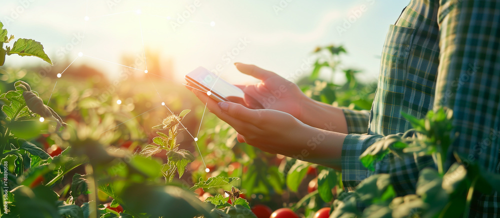 farm with technology concept background. young women use tablet with virtual hologhrapic at vegetables field