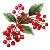 illustration of Red currants, isolated on transparent background. AI generated