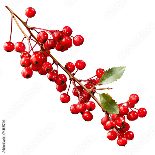 Red currants, isolated on transparent background. AI generated