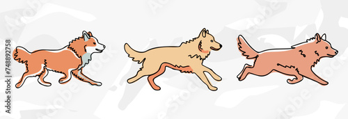 Pastellfarbene Lineart-Illustrationen des Finnischen Lapphunds: Vektorgrafik-Bündel