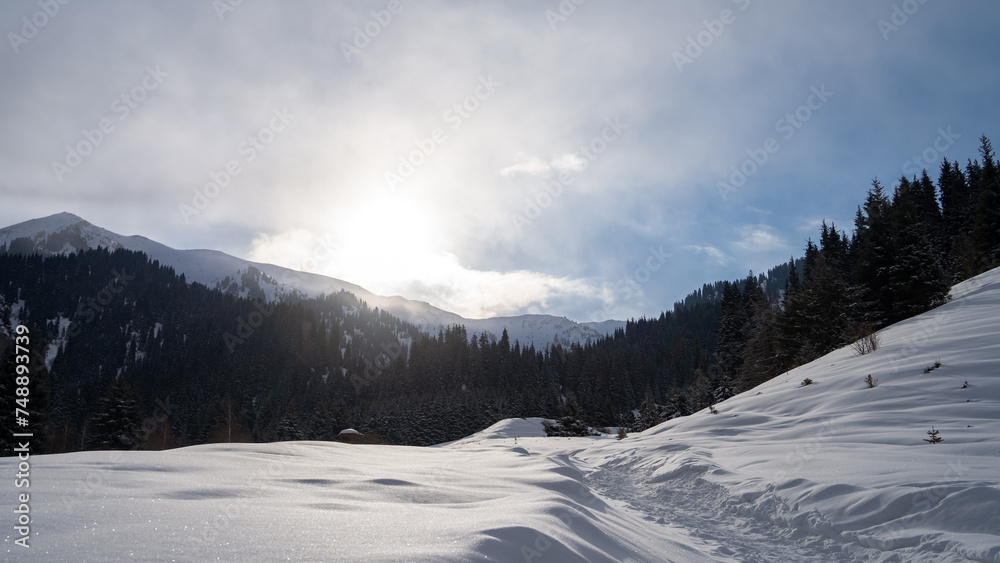 Snowy mountain gorge. Mountains in winter. A sunny day in the mountains