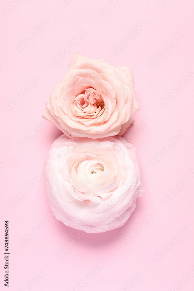 8 March greeting card design made with beautiful flowers on pink background, top view 8 March greeting card design made with beautiful flowers on pink background, top view