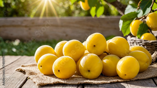 Ripe yellow plums on burlap on wooden table, against blurred background of summer or autumn garden. Fresh natural organic fruits. Healthy vitamin food. Harvesting. Copy space.