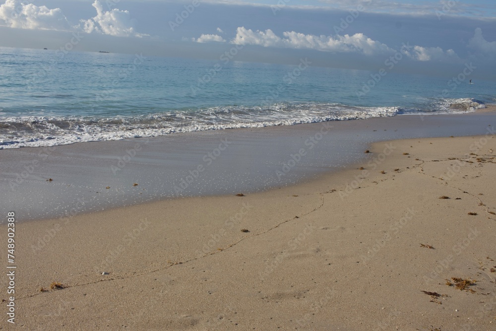 footprints in the sand.