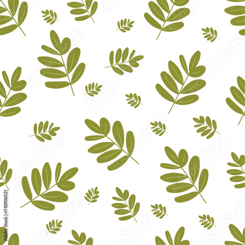 Botanical green plant pattern in flat style on isolated white background. For wallpapers  textiles  prints.