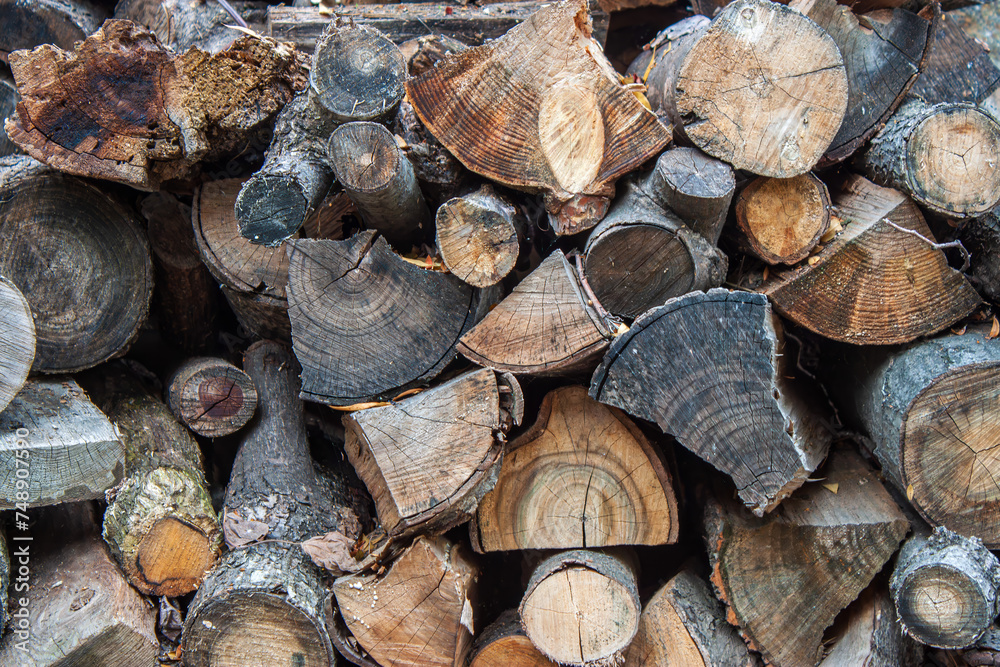 A supply of firewood for the winter. A supply of firewood for the winter.