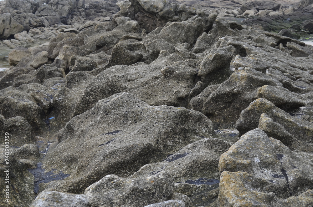Rocks Rocks