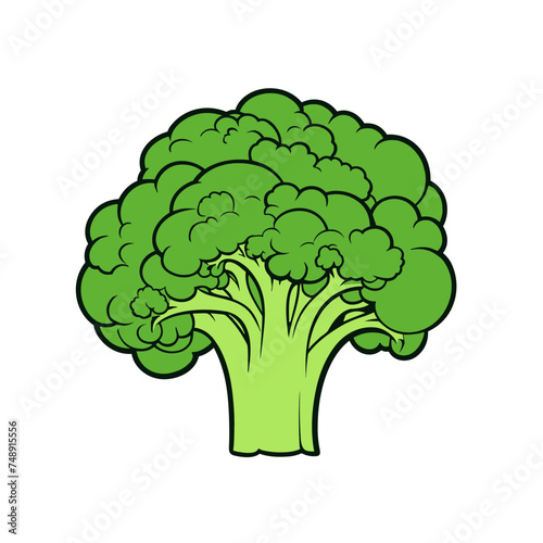 broccoli or cauliflower vector illustration isolated transparent background logo, cut out or cutout t-shirt print design