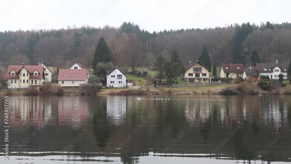 The castle pond in Burgwalden on a cloudy day with tufted ducks and coots chasing each other loudly across the pond The castle pond in Burgwalden on a cloudy day with tufted ducks and coots chasing each other loudly across the pond