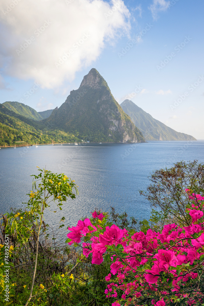 Stunning view of the Pitons (Petit Piton & Gros Piton). from an elevated viewpoint with the rainforest and bay of Soufrire in the foreground...Soufriere,.Saint Lucia, .West Indies, Eastern Caribbean
