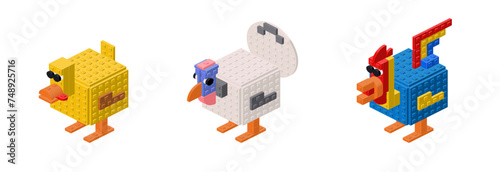 Set of poultry from the farm. Vector