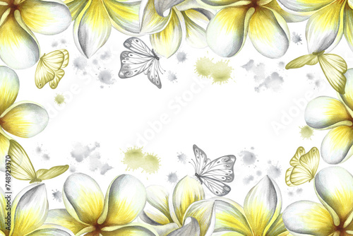 A frame with plumeria  a border of exotic tropical fragrant frangipani flowers. Hand-drawn watercolor illustration. For packaging banners and labels. For posters  flyers  greeting and invitation cards