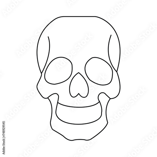 skull single continuous one line out line vector art  drawing  and tattoo design