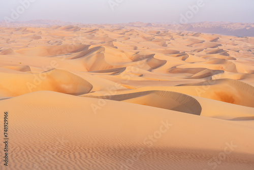 Sand dunes in the Rub al Khali desert, Abu Dhabi, United Arab Emirates