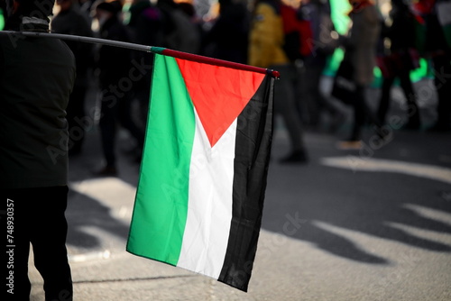 Palestine flag in backlights and many people during the peaceful protest © ChiccoDodiFC