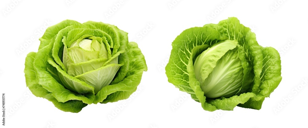 Fresh green cabbage isolated on white background