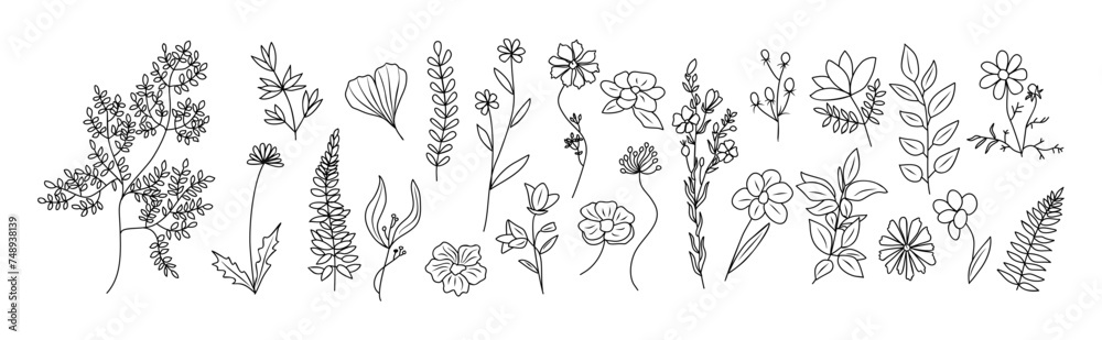 Set of tiny wild flowers and plants line art vector botanical illustration on transparent background. Trendy greenery hand drawn black ink sketches collection. Modern design logo, tattoo, wall art.