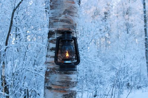a kerosene lantern hangs on a birch tree in the white snowy branches.